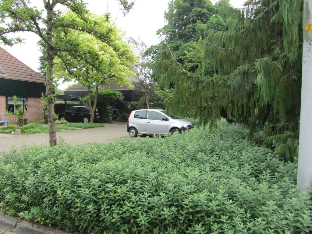 B&B Molenzicht Warnsveld 外观 照片